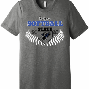 Falcon Softball Bella Triblend Tee 3413 GT