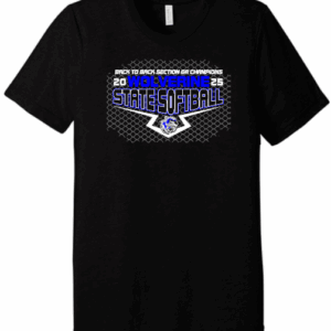 CGB Softball Bella Triblend Tee 3413 B