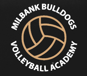 Bulldog VB Academy